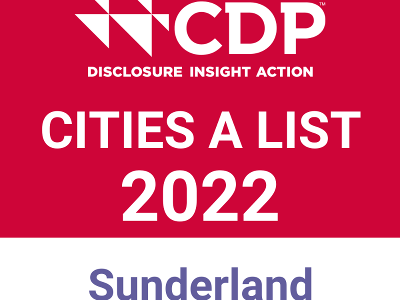 Sunderland CDP 2022