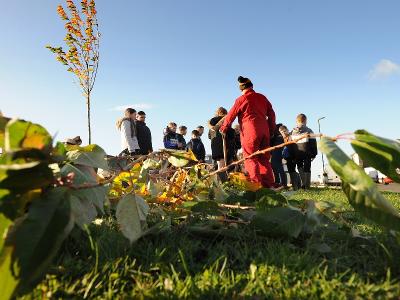 Community orchard replant