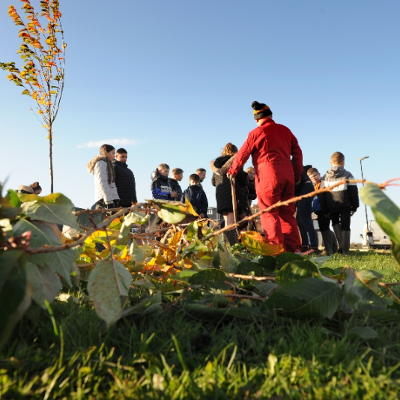 Community orchard replant