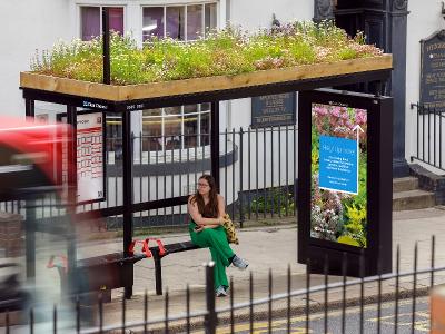 Living Roof Bus Shelters