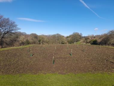 Hetton Park Orchard