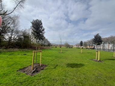 Herrington Welfare Park Orchard