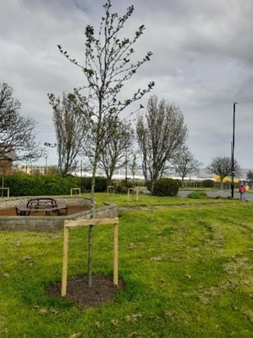 Seaburn Recreational and War Memorial