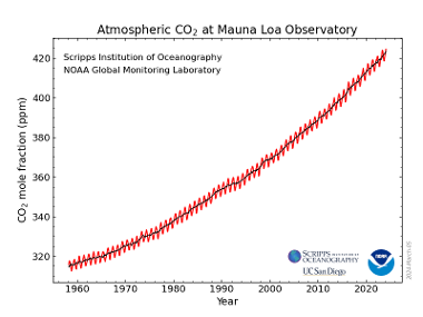 co2_data_mlo