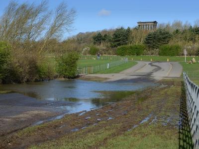 Herrington Country Park Waterlogged