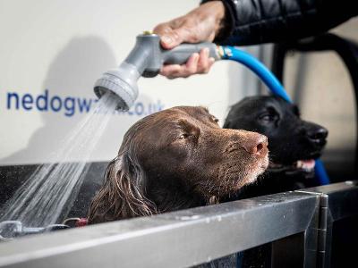 Dog Wash Seaburn