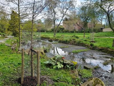 Doxford Park Tree Planting