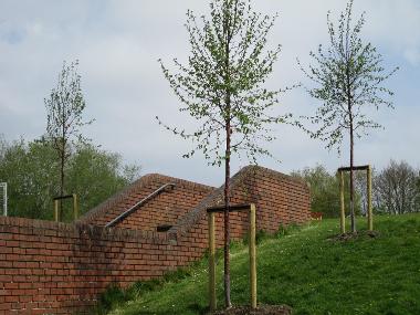 Rickleton Primary School 