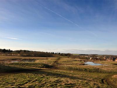 Wider Sunderland Nature