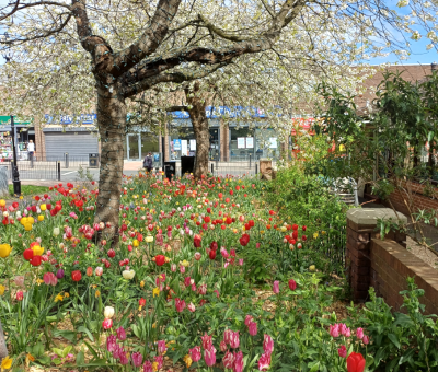 Southwick Green